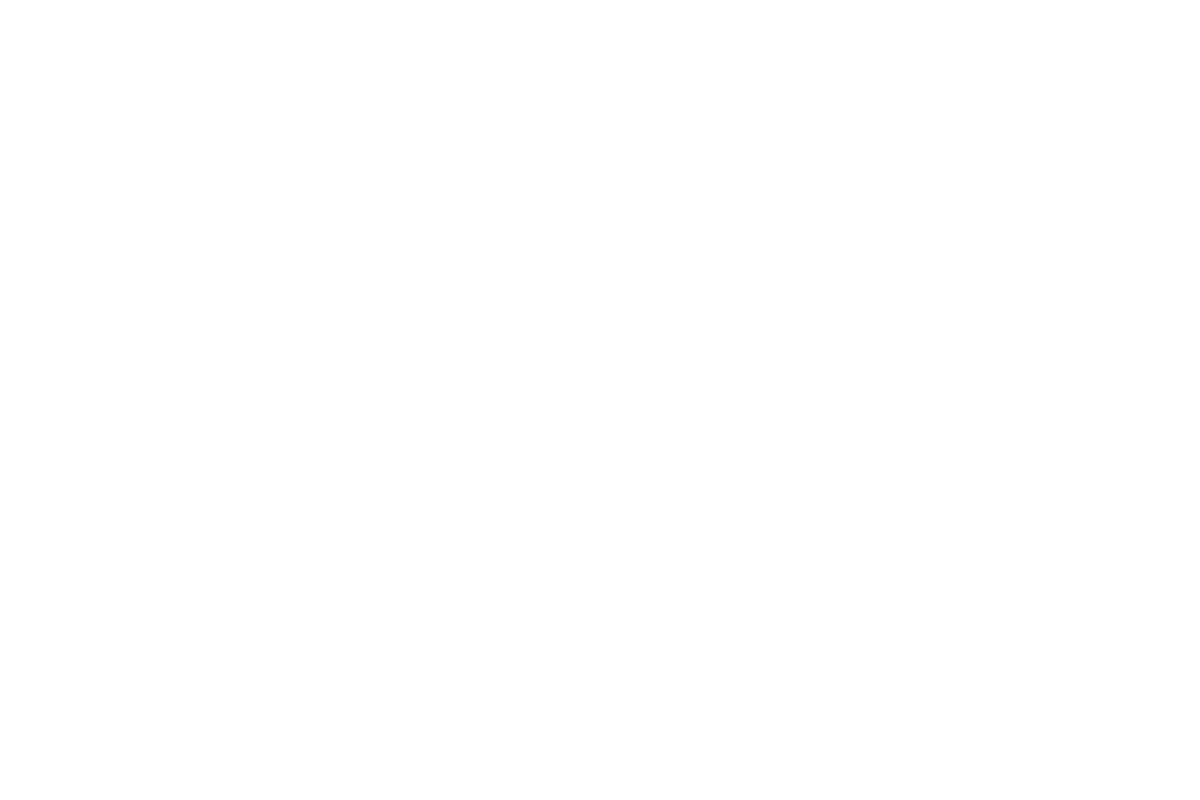 Palm Beach Holiday Rentals